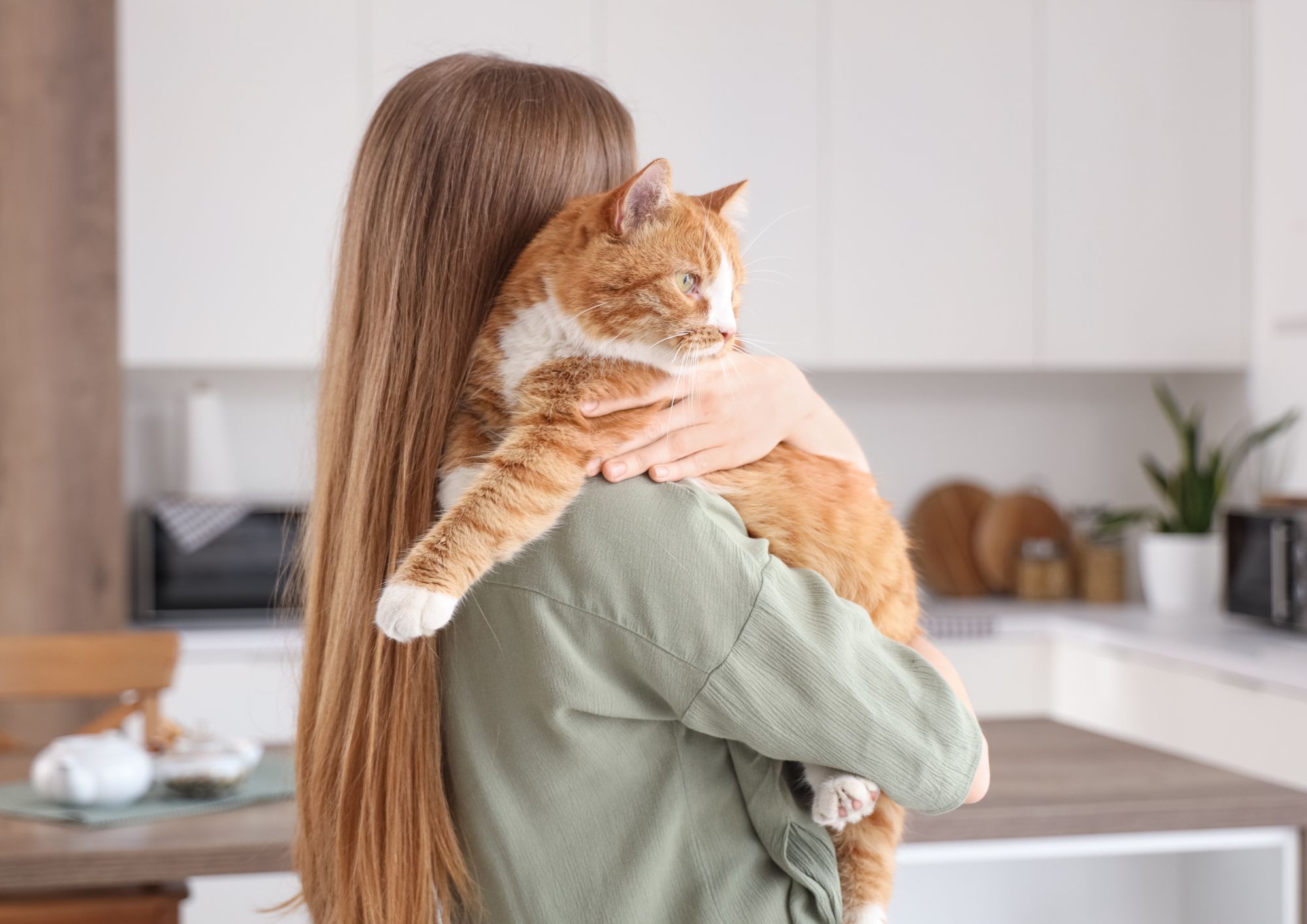 Assurance animaux : les exclusions que les assureurs ne mettent pas en avant