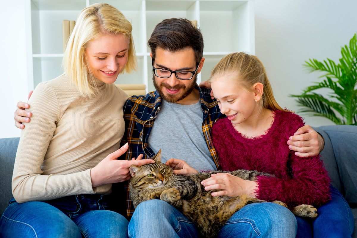 Assurance animaux à petit budget : comment protéger votre compagnon sans se ruiner en 2026