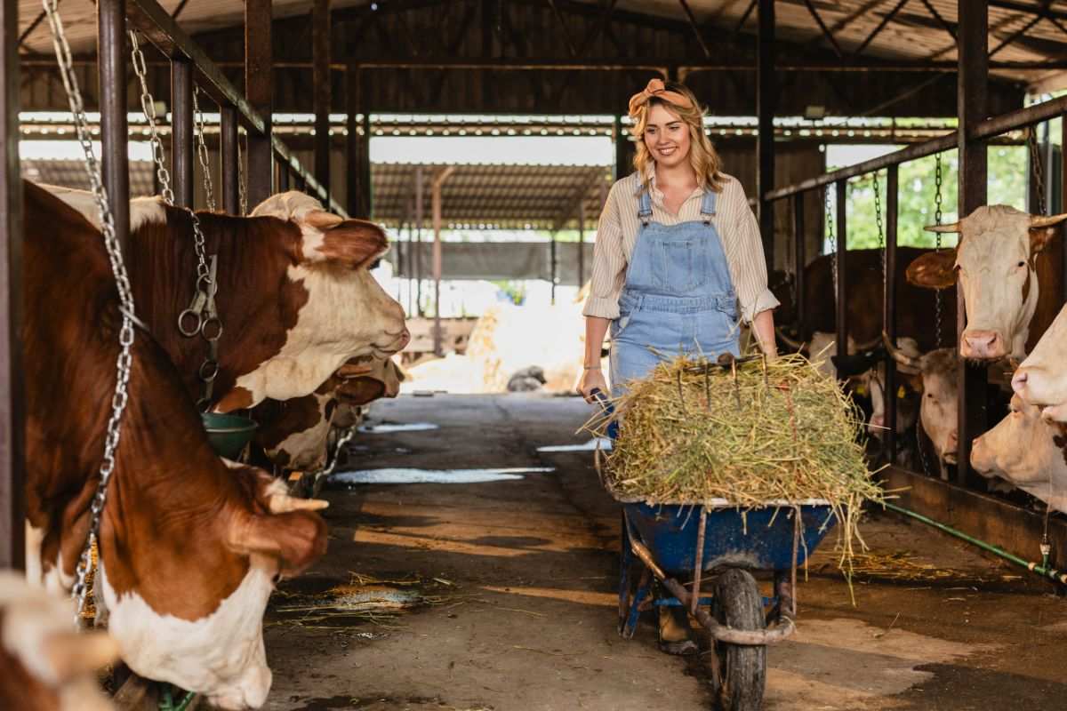 Agriculture française : quand la course technologique aggrave les risques assurables