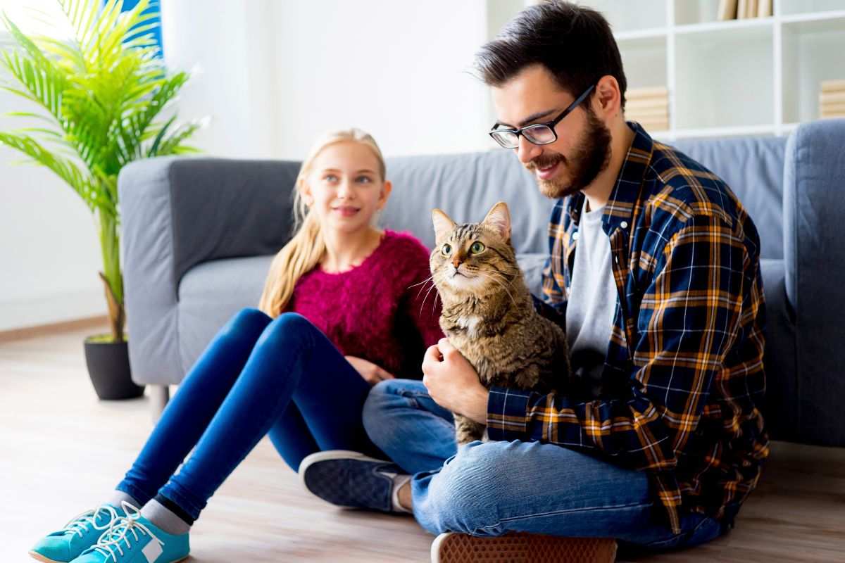 Frais vétérinaires en flambée : comment choisir la bonne assurance animaux en 2026